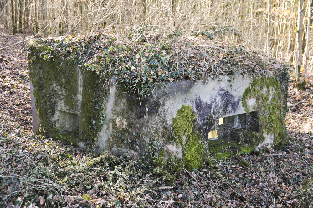 Ligne Maginot - ABO17 - BAMBESCH OUEST - (Blockhaus pour canon) -  - Alain Perouffe