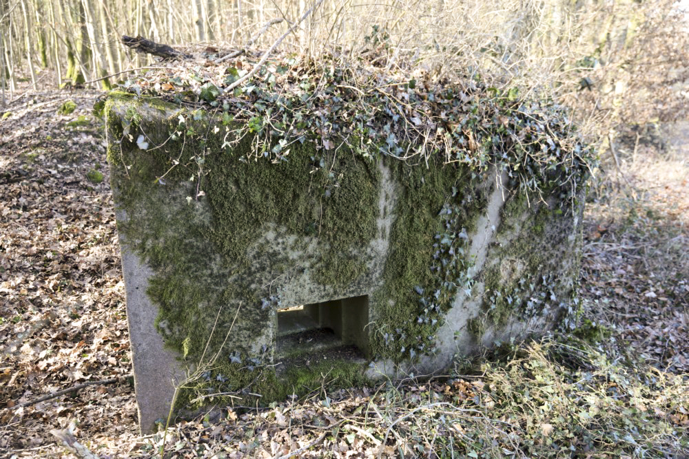 Ligne Maginot - ABO17 - BAMBESCH OUEST - (Blockhaus pour canon) -  - Alain Perouffe