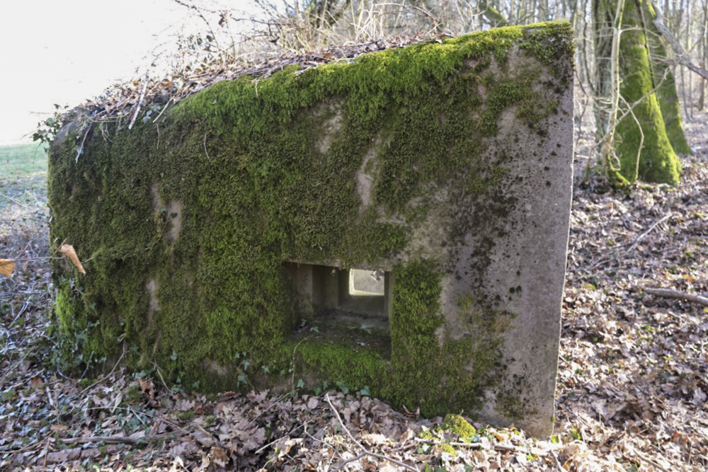 Ligne Maginot - ABO17 - BAMBESCH OUEST - (Blockhaus pour canon) -  - Alain Perouffe