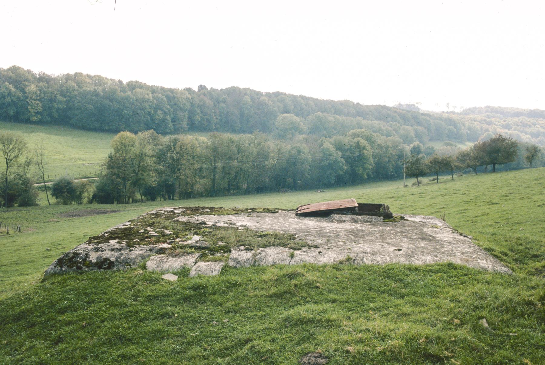 Ligne Maginot - 14A - (Chambre de coupure) -  - MANSUY Michel