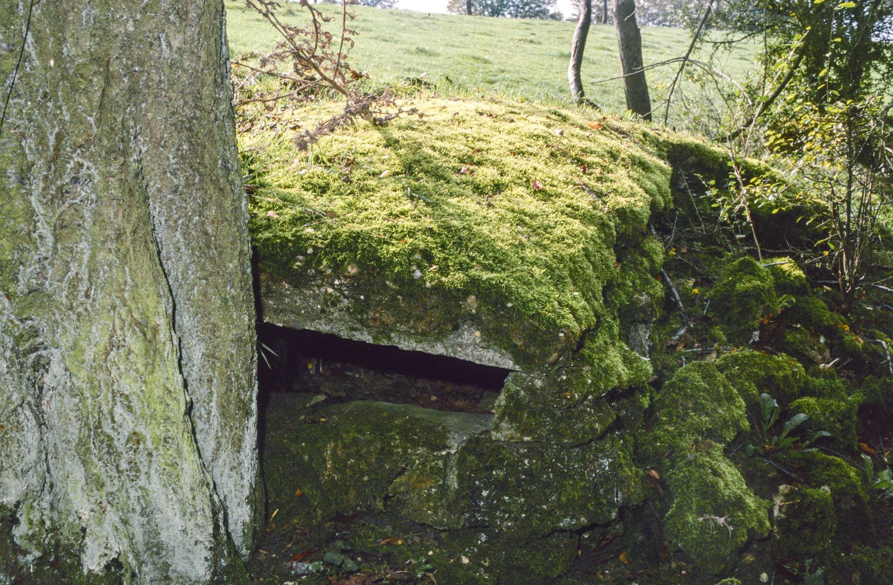 Ligne Maginot - PETERSHECKE 1 - (Observatoire d'infanterie) -  - MANSUY Michel