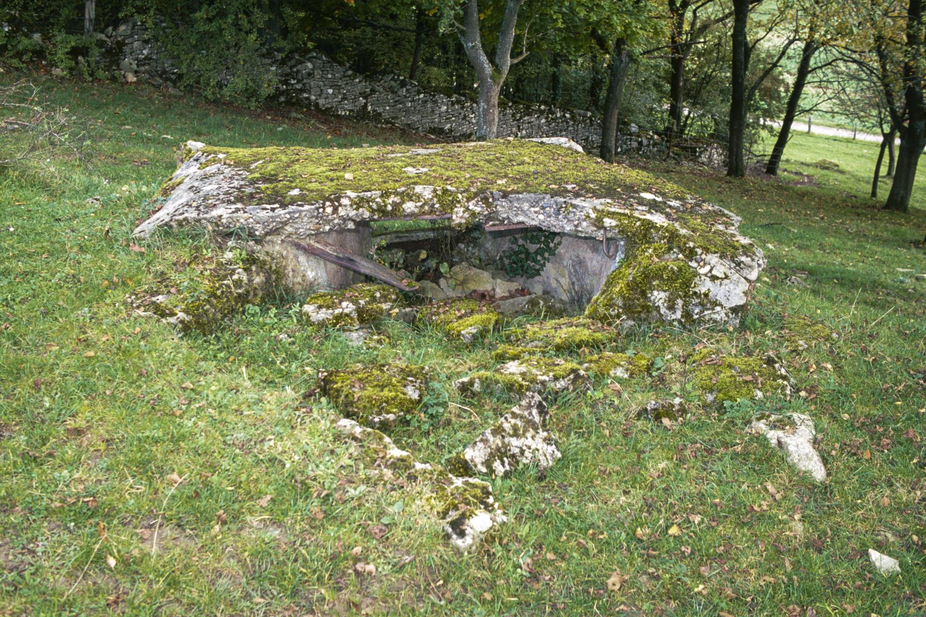 Ligne Maginot - PETERSHECKE 4 - (Observatoire d'infanterie) -  - MANSUY Michel
