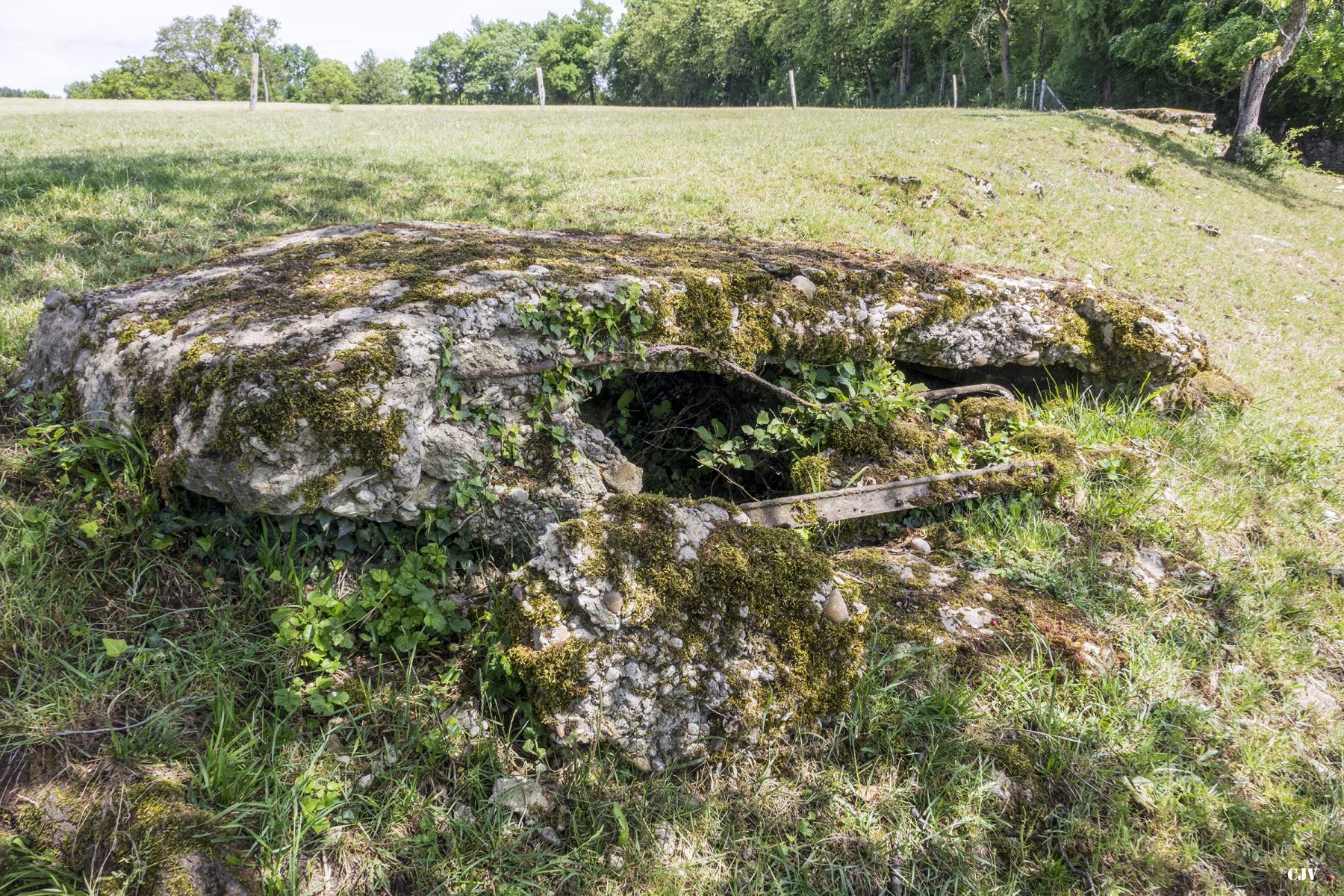 Ligne Maginot - PETERSHECKE 5 - (Observatoire d'infanterie) -  - Lia VERMEULEN