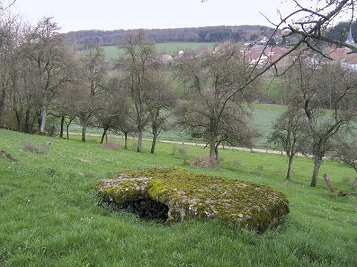 Ligne Maginot - PETERSHECKE 5 - (Observatoire d'infanterie) -  - Inconnu