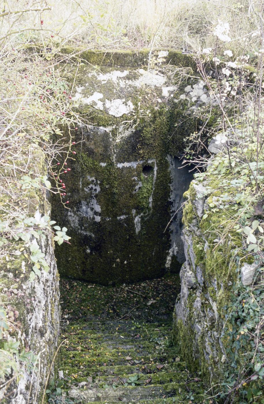 Ligne Maginot - PETERSHECKE - (Central téléphonique d'observation) -  - MANSUY Michel