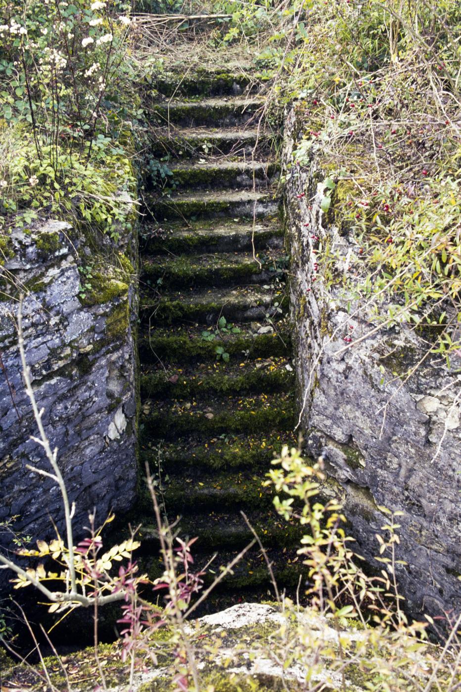 Ligne Maginot - PETERSHECKE - (Central téléphonique d'observation) -  - MANSUY Michel