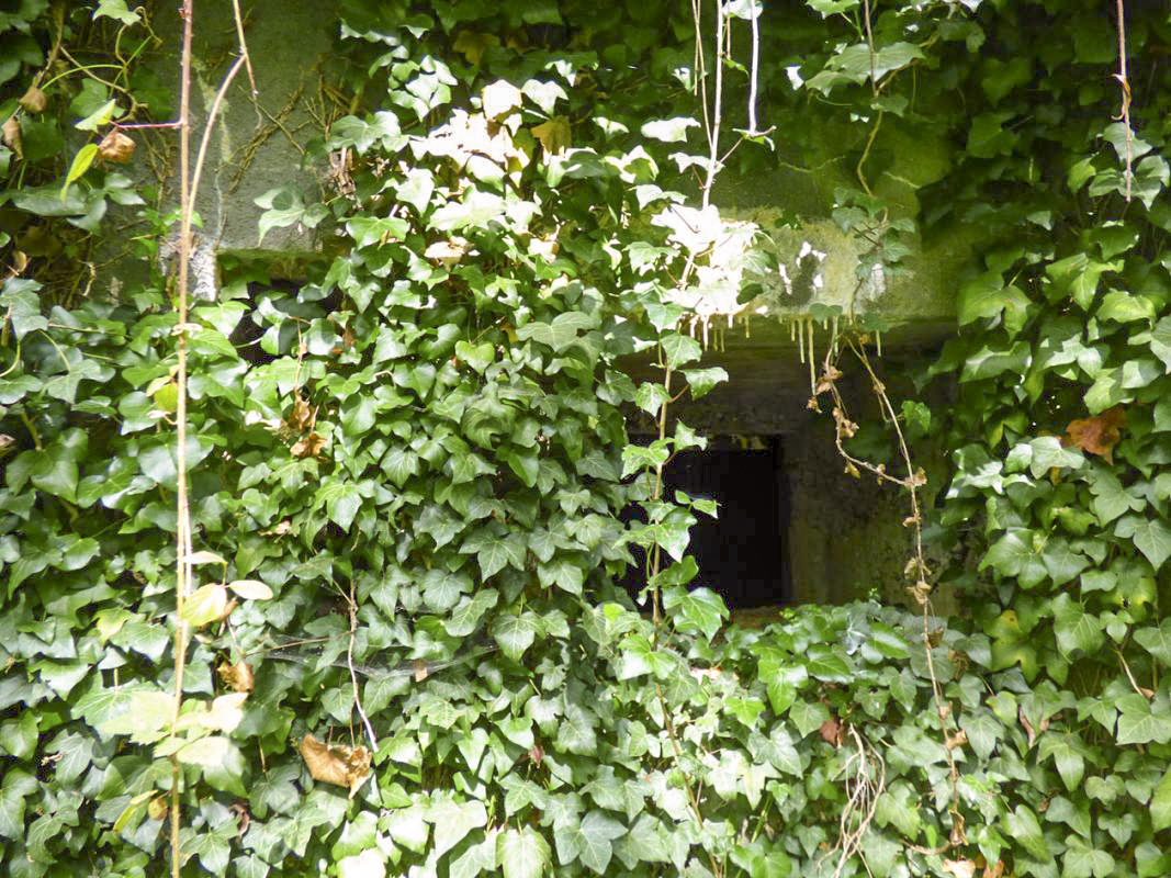 Ligne Maginot - A37 - LA PISSELOTTE - (Blockhaus pour canon) -  - JMBrams