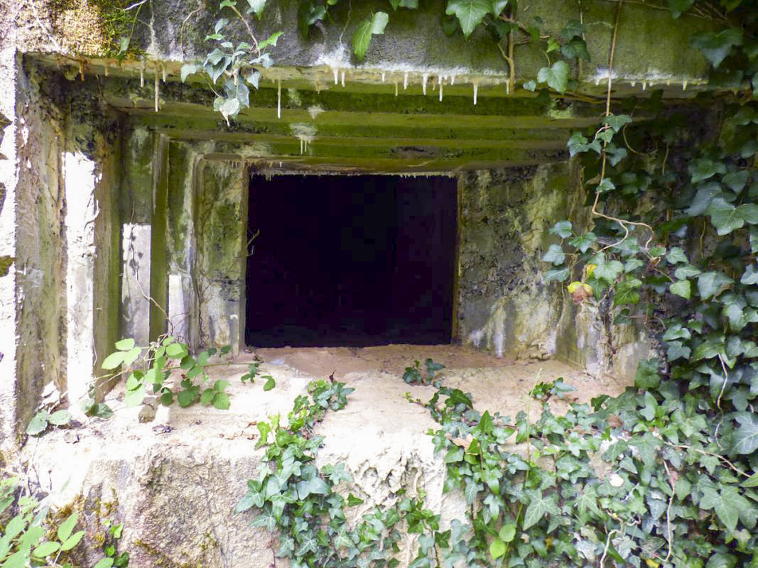 Ligne Maginot - A37 - LA PISSELOTTE - (Blockhaus pour canon) -  - JMBrams