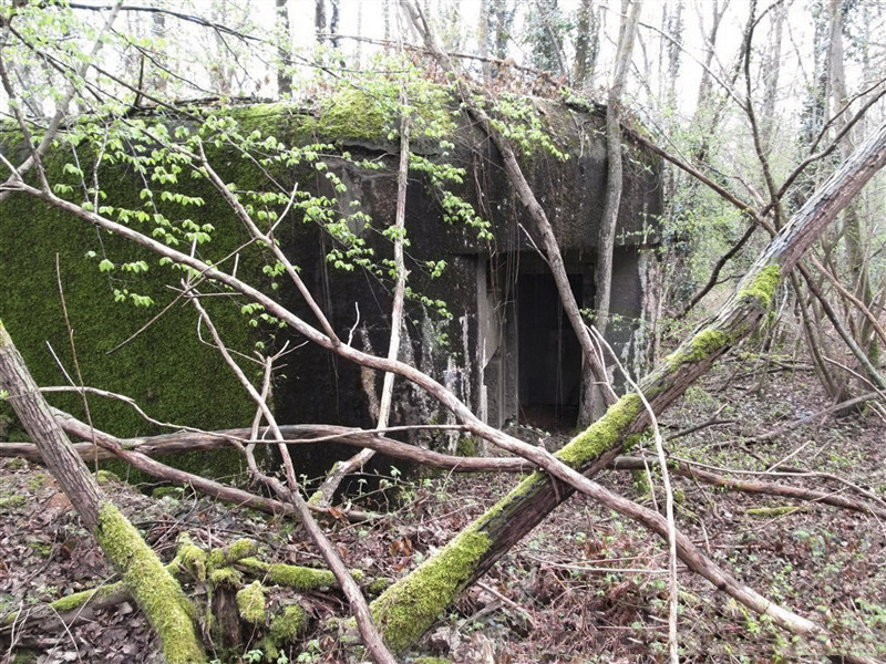 Ligne Maginot - A37 - LA PISSELOTTE - (Blockhaus pour canon) -  - François MATHOT