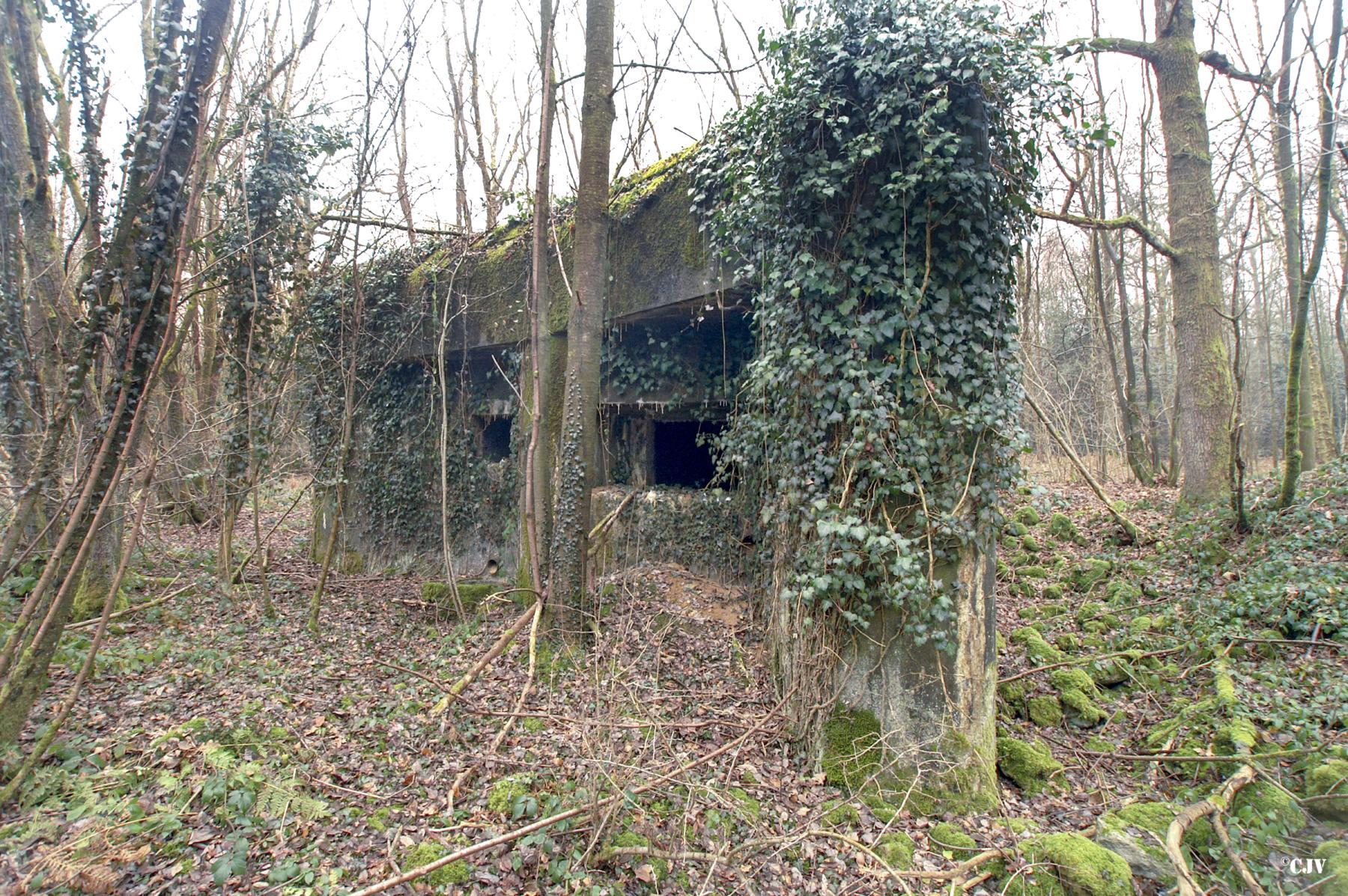 Ligne Maginot - A37 - LA PISSELOTTE - (Blockhaus pour canon) -  - Caspar Vermeulen
