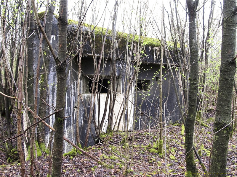 Ligne Maginot - A38 - GRAND MARAIS OUEST - (Blockhaus pour canon) -  - François MATHOT