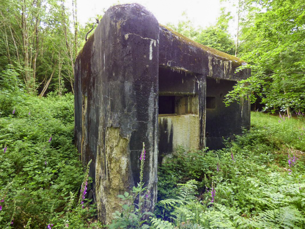Ligne Maginot - A38 - GRAND MARAIS OUEST - (Blockhaus pour canon) -  - JMBrams