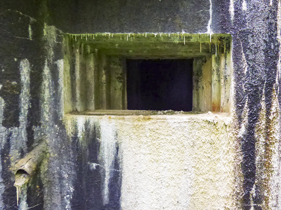 Ligne Maginot - A38 - GRAND MARAIS OUEST - (Blockhaus pour canon) -  - JMBrams