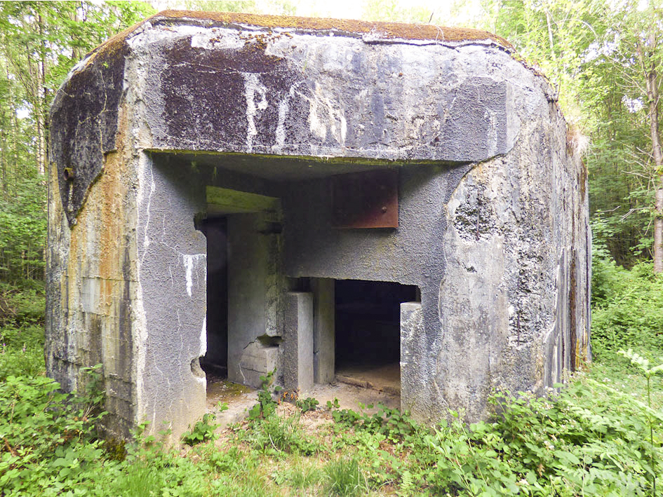 Ligne Maginot - A38 - GRAND MARAIS OUEST - (Blockhaus pour canon) -  - JMBrams