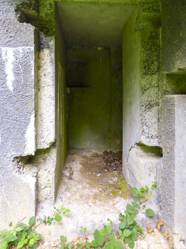 Ligne Maginot - A38 - GRAND MARAIS OUEST - (Blockhaus pour canon) -  - JMBrams