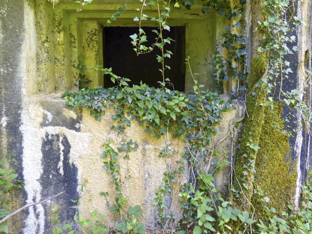 Ligne Maginot - A38 - ROUILLETTE EST - (Blockhaus pour canon) -  - JMBrams