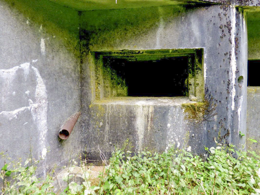 Ligne Maginot - A39 - GRAND MARAIS EST - (Blockhaus pour canon) -  - JMBrams