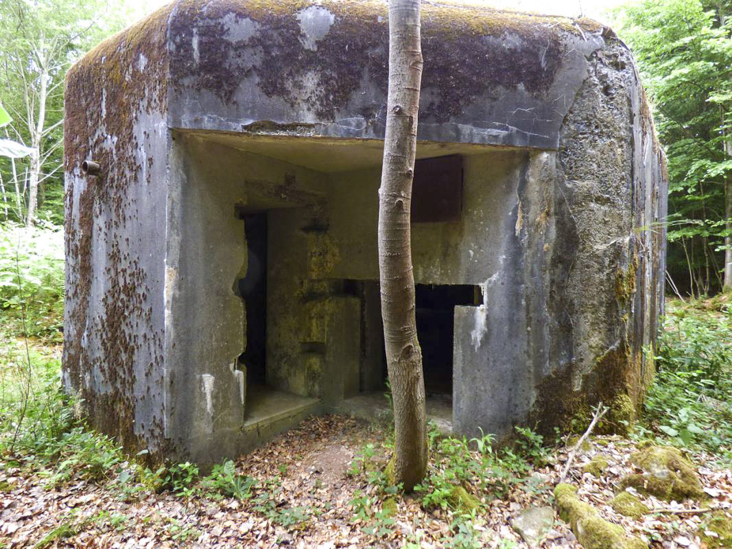 Ligne Maginot - A39 - GRAND MARAIS EST - (Blockhaus pour canon) -  - JMBrams