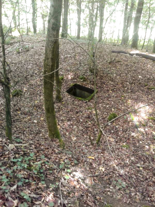 Ligne Maginot - LA VIGNETTE - (Chambre de coupure) - Vue générale de la chambre de coupure depuis le haut du talus.. - Fabrice THOMASSIN