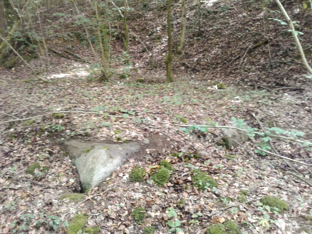 Ligne Maginot - LA VIGNETTE - (Chambre de coupure) - Le massif bétonné est visible, faiblement recouvert. - Fabrice THOMASSIN