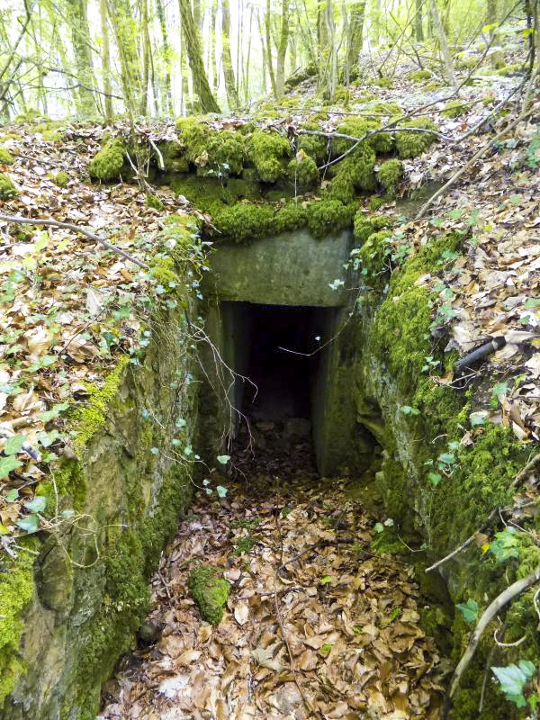 Ligne Maginot - LA VIGNETTE (1°BON 136°RIF) - (PC de Quartier) - L'entrée l'ouest - R Tucker