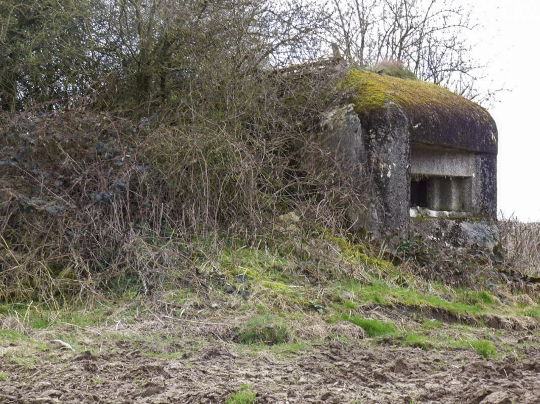 Ligne Maginot - B774 - LE ROND-BOIS - (Blockhaus pour canon) -  - JMBrams