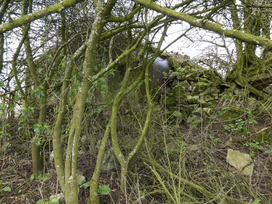 Ligne Maginot - B774 - LE ROND-BOIS - (Blockhaus pour canon) -  - JMBrams