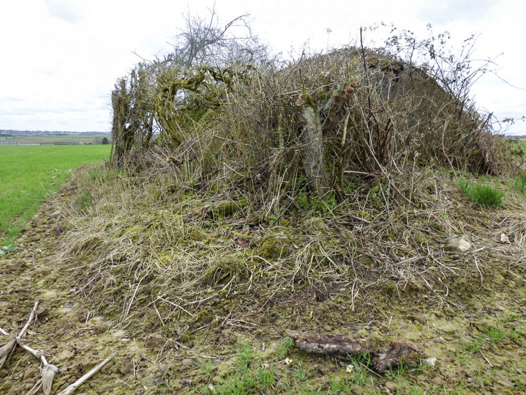 Ligne Maginot - B773 - MORANRIEUX - (Abri) -  - JMBrams