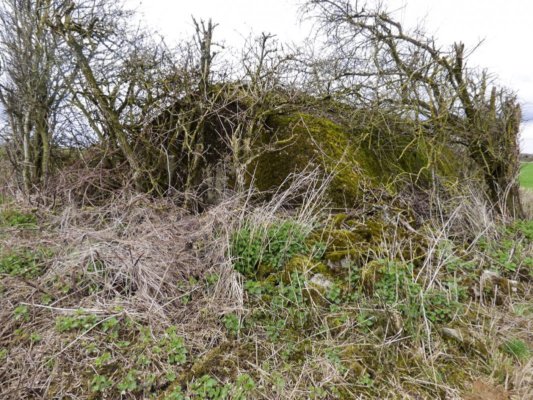 Ligne Maginot - B773 - MORANRIEUX - (Abri) -  - JMBrams