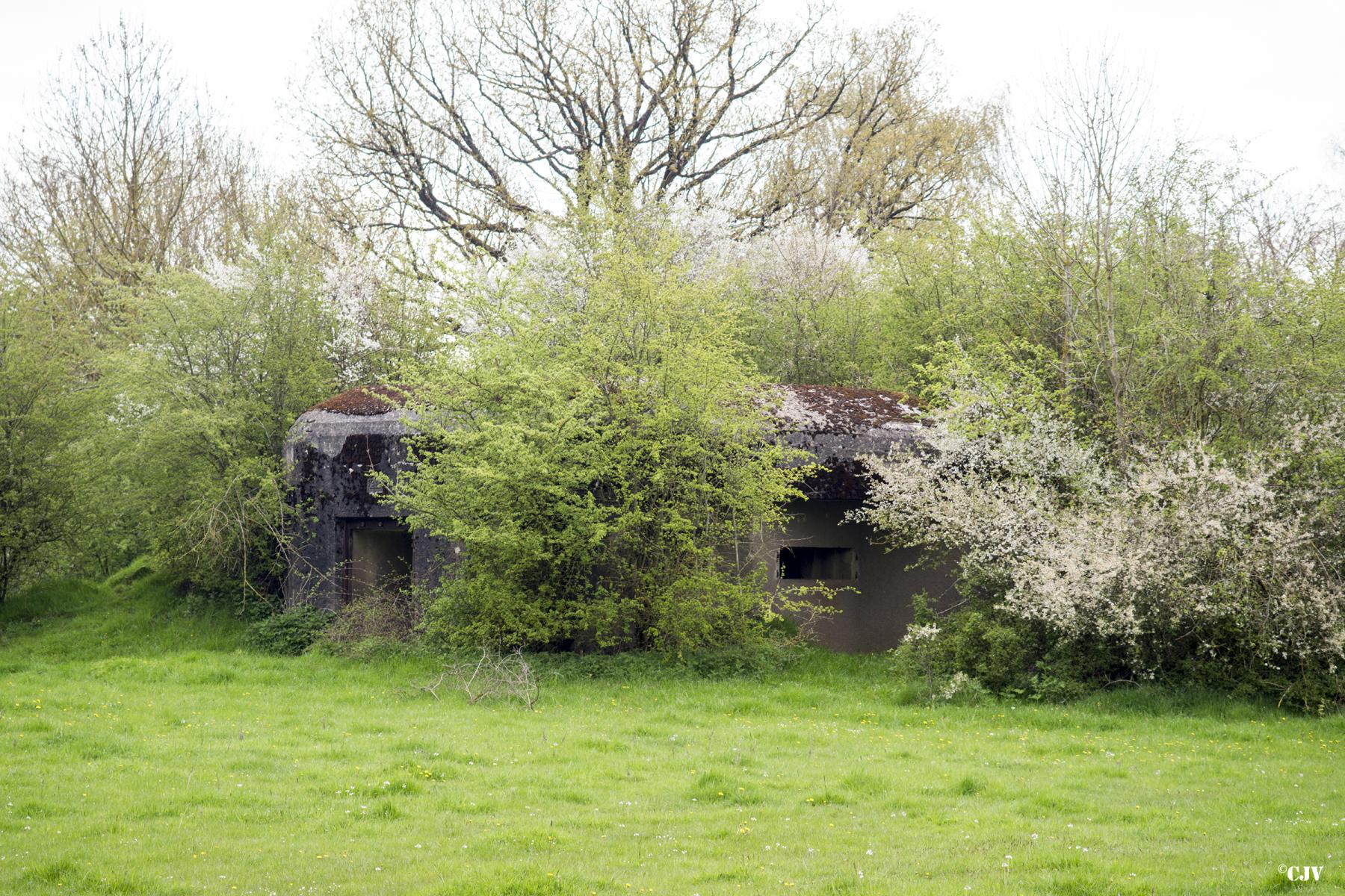 Ligne Maginot - B772 - LA COULONNIERE SUD - (Blockhaus pour canon) -  - Lia VERMEULEN