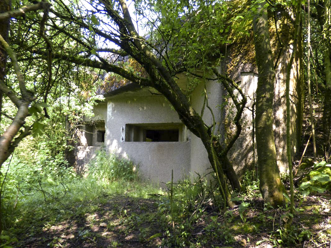 Ligne Maginot - B772 - LA COULONNIERE SUD - (Blockhaus pour canon) -  - JMBrams