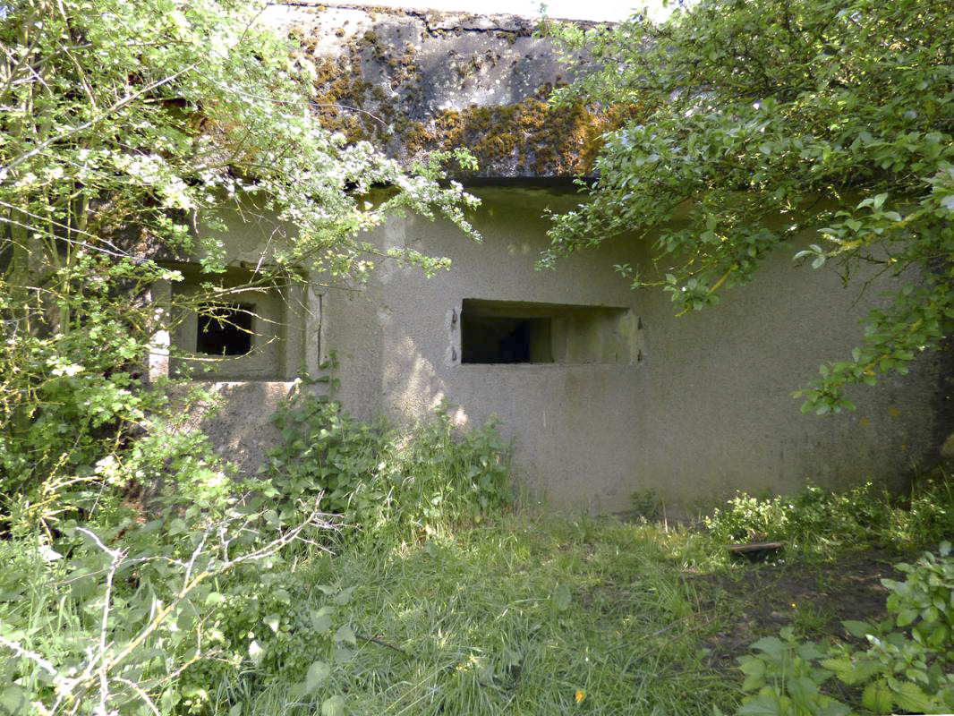 Ligne Maginot - B772 - LA COULONNIERE SUD - (Blockhaus pour canon) -  - JMBrams
