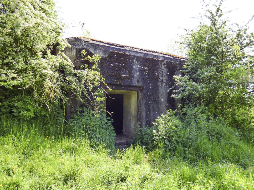 Ligne Maginot - B772 - LA COULONNIERE SUD - (Blockhaus pour canon) -  - JMBrams