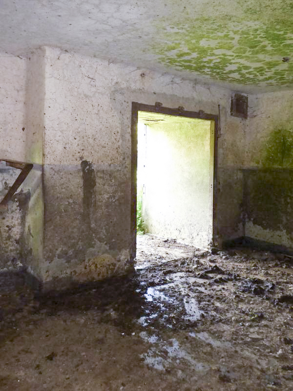 Ligne Maginot - B772 - LA COULONNIERE SUD - (Blockhaus pour canon) -  - JMBrams