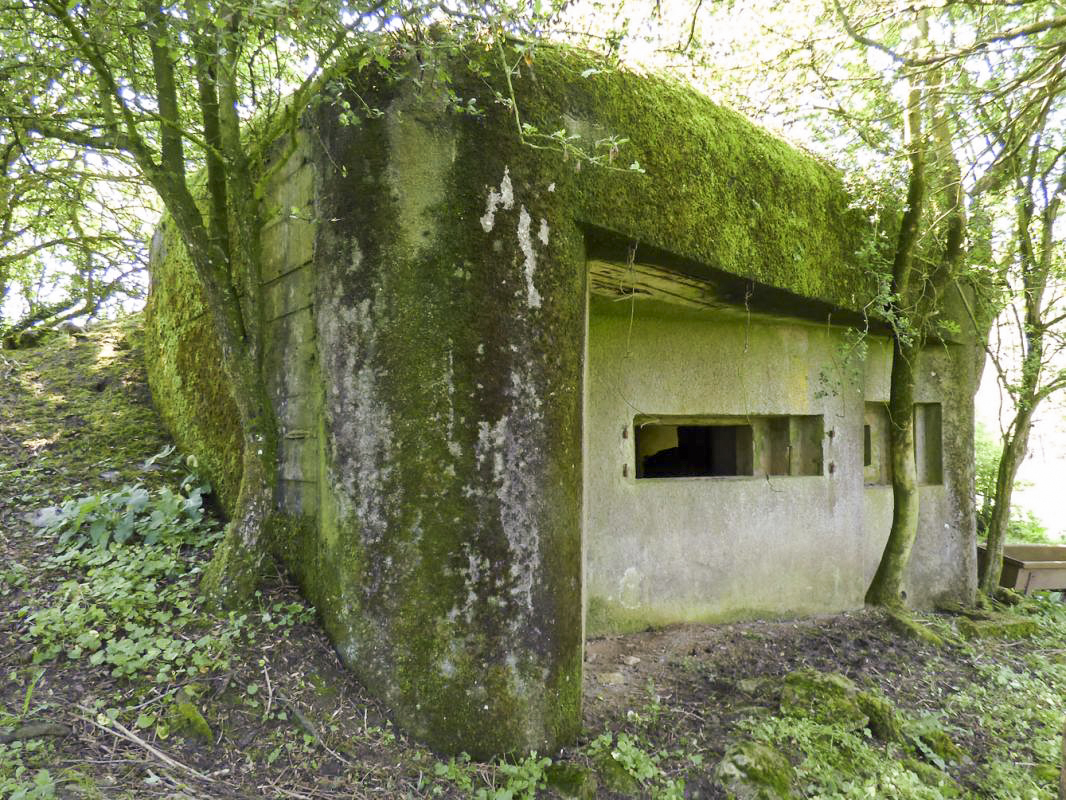 Ligne Maginot - B771 - LA COULONNIERE NORD - (Blockhaus pour canon) -  - JMBrams