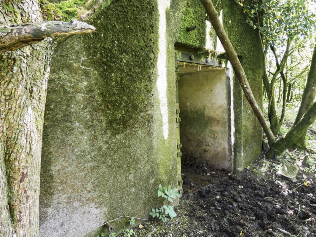 Ligne Maginot - B771 - LA COULONNIERE NORD - (Blockhaus pour canon) -  - JMBrams