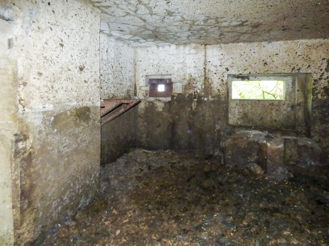Ligne Maginot - B771 - LA COULONNIERE NORD - (Blockhaus pour canon) -  - JMBrams