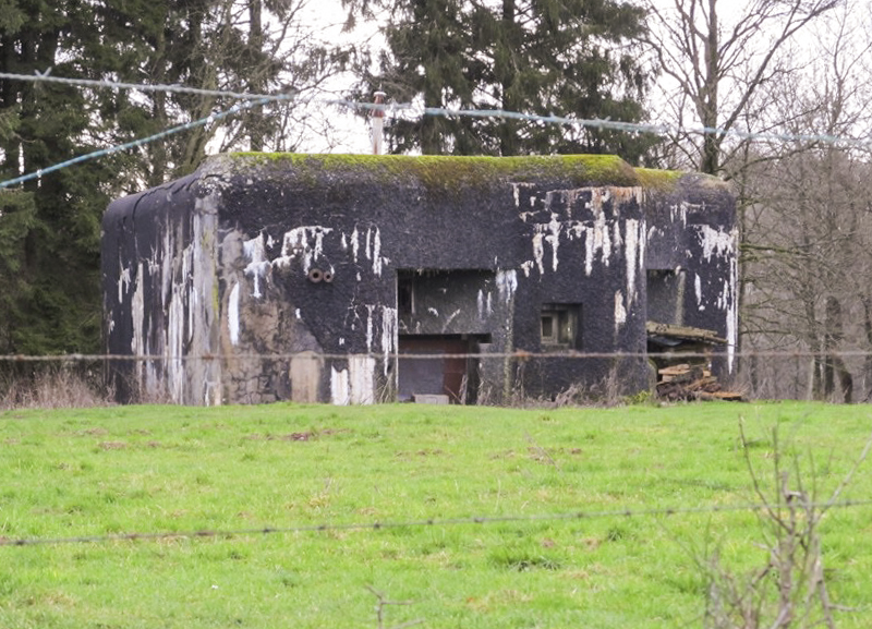 Ligne Maginot - Blcokhaus A42 - CROIX MAJOT Sud -  - François MATHOT