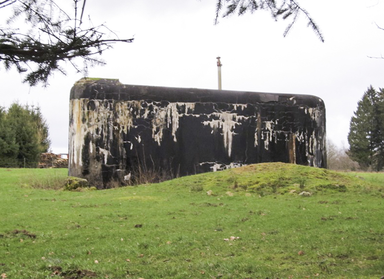 Ligne Maginot - A42 - CROIX MAJOT SUD - (Blockhaus pour canon) - Connue aussi sous le nom de CROIX-MAJOT Sud - François MATHOT
