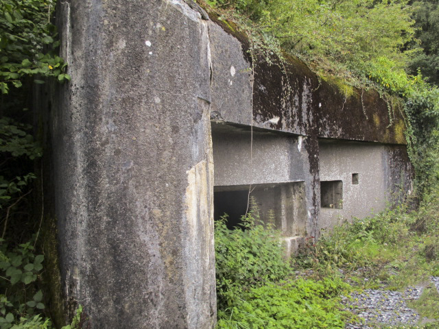 Ligne Maginot - A42 - ROUTE DE SIGNY - (Blockhaus pour canon) -  - Randonneur62