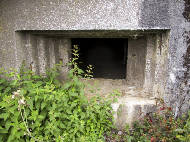 Ligne Maginot - A42 - ROUTE DE SIGNY - (Blockhaus pour canon) -  - Randonneur62