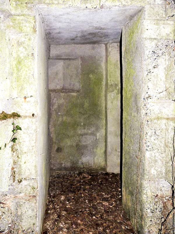 Ligne Maginot - A42 - ROUTE DE SIGNY - (Blockhaus pour canon) -  - JMBrams