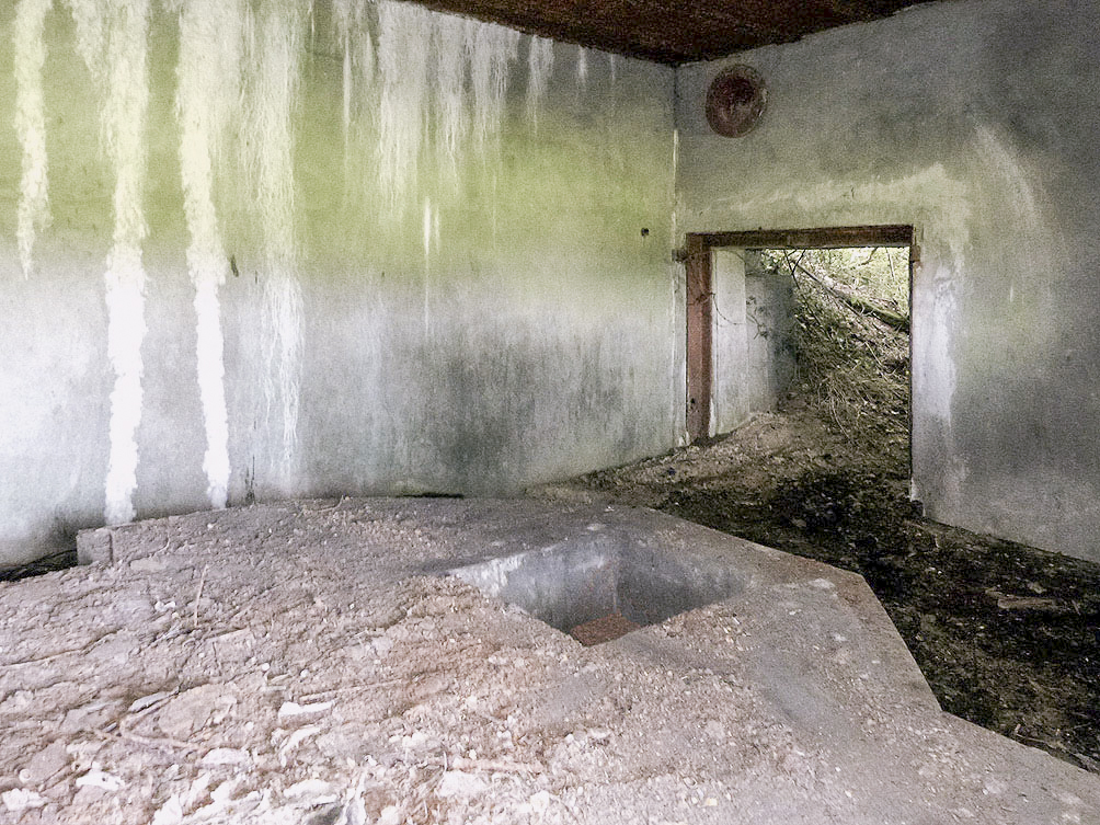 Ligne Maginot - A42 - ROUTE DE SIGNY - (Blockhaus pour canon) -  - JMBrams
