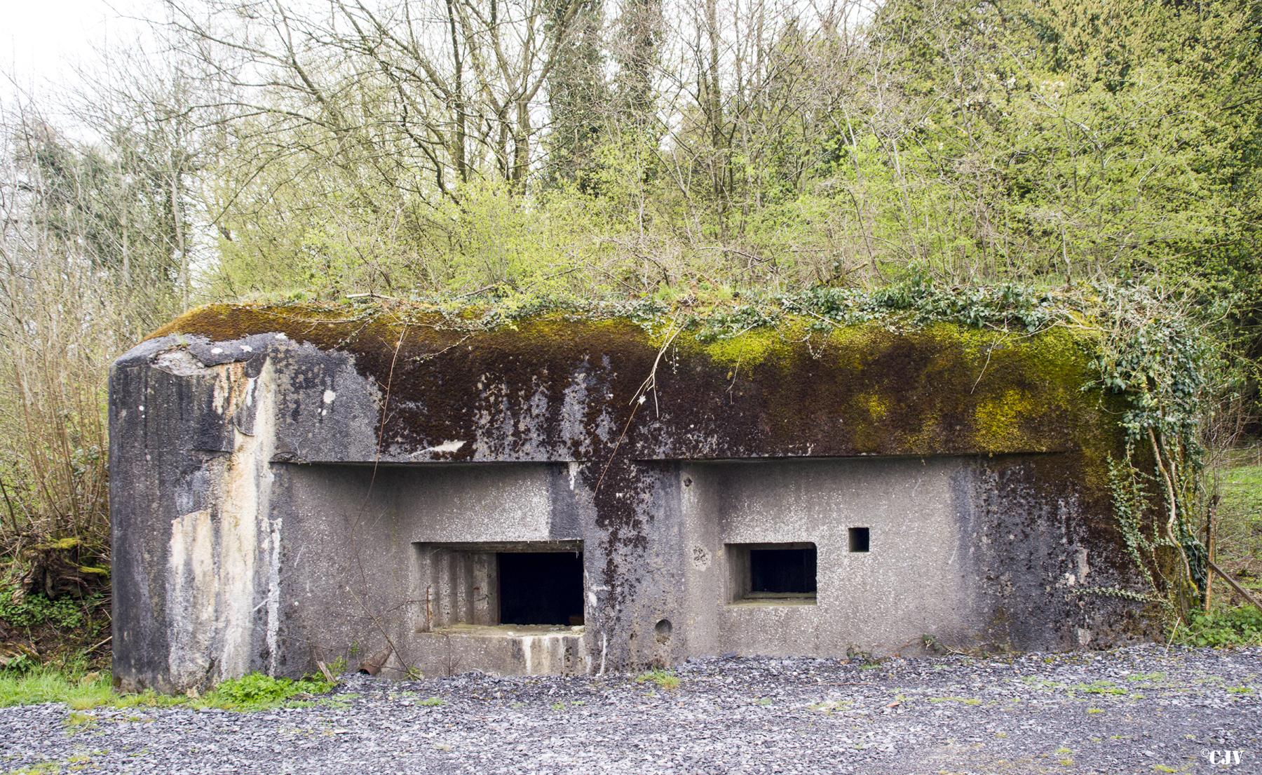 Ligne Maginot - A42 - ROUTE DE SIGNY - (Blockhaus pour canon) -  - Lia VERMEULEN