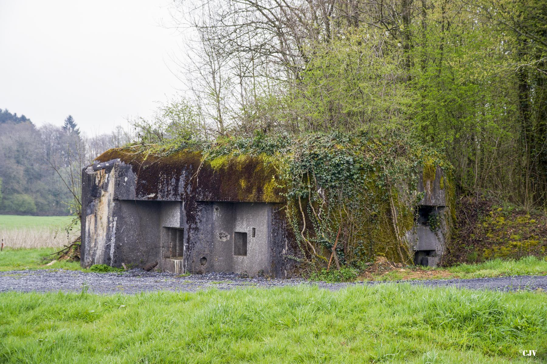 Ligne Maginot - A42 - ROUTE DE SIGNY - (Blockhaus pour canon) -  - Lia VERMEULEN
