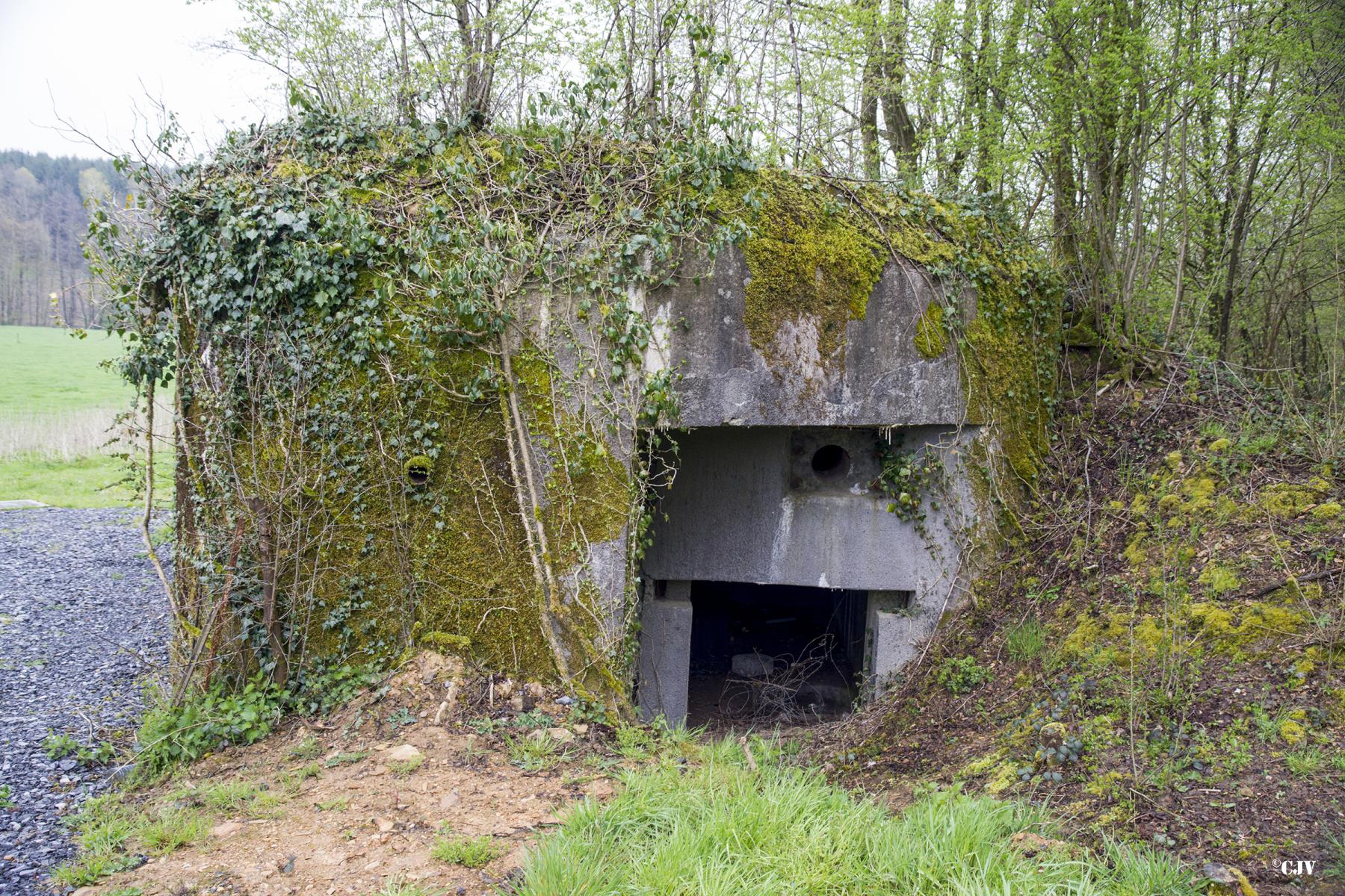Ligne Maginot - A42 - ROUTE DE SIGNY - (Blockhaus pour canon) -  - Lia VERMEULEN