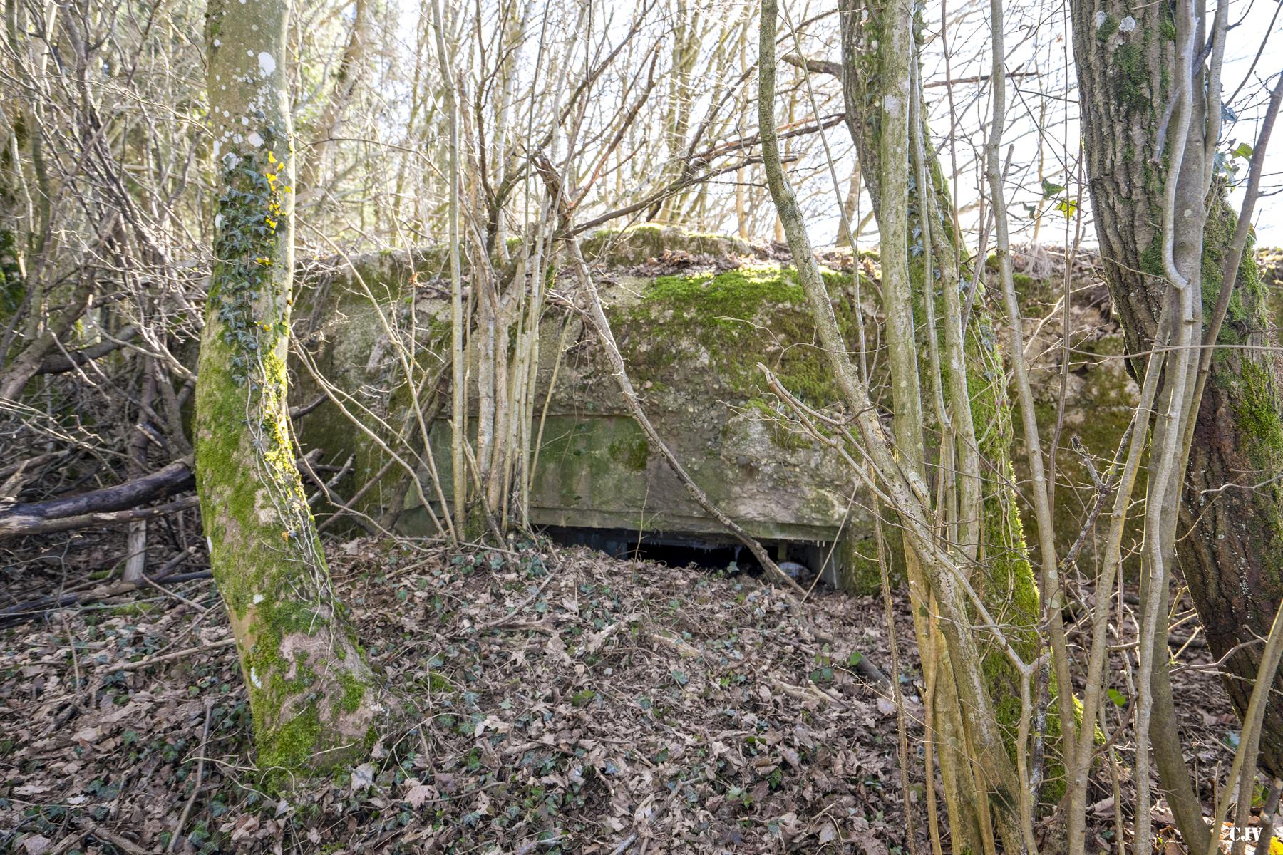Ligne Maginot - CB14 - (Blockhaus pour canon) -  - Lia VERMEULEN