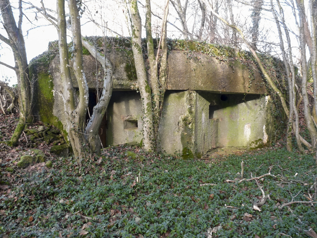 Ligne Maginot - CB14 - (Blockhaus pour canon) -  - Sylvie Laure LAMBERT