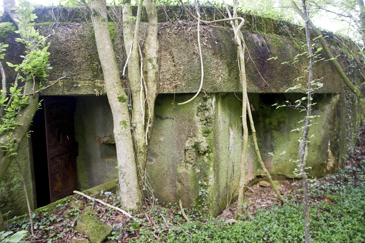Ligne Maginot - CB14 - (Blockhaus pour canon) - Entrée et créneau - Michel Teiten