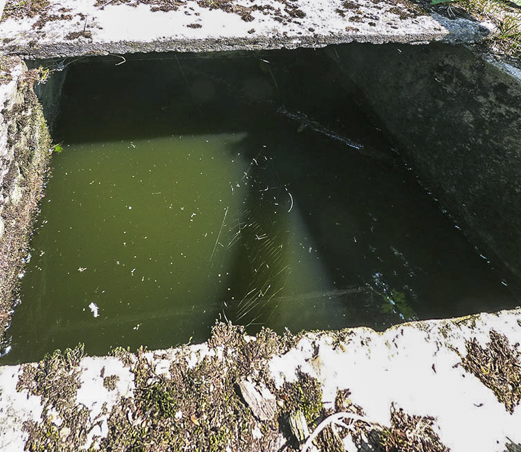 Ligne Maginot - A43 - CROIX MAJOT NORD - (Blockhaus pour canon) -  - JMBrams